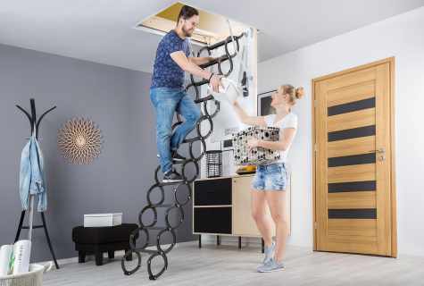 How to establish ladders for the house
