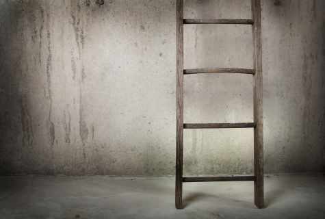 Wooden ladder: what breed to choose
