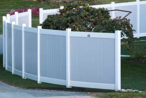 Where fence - there and the yard: we choose materials for site protection