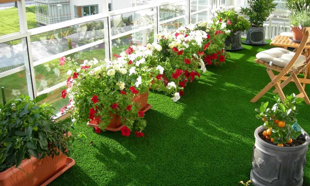 How to turn small balcony into the fantastic blossoming garden
