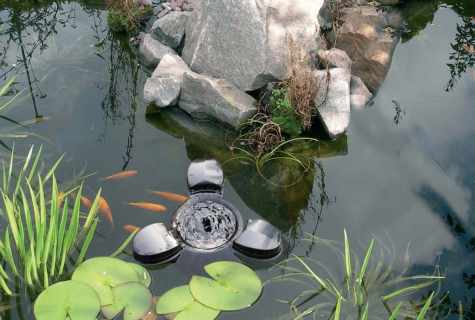 What filters can be installed in pond at the dacha