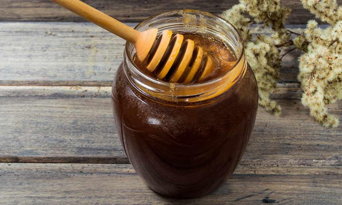Buckwheat honey: medicinal properties and contraindications