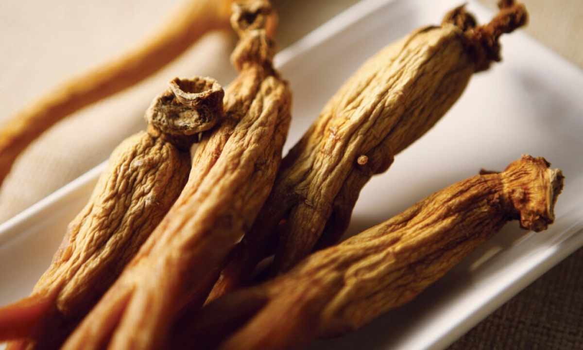 How to grow up ginseng