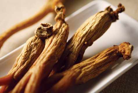 How to grow up ginseng