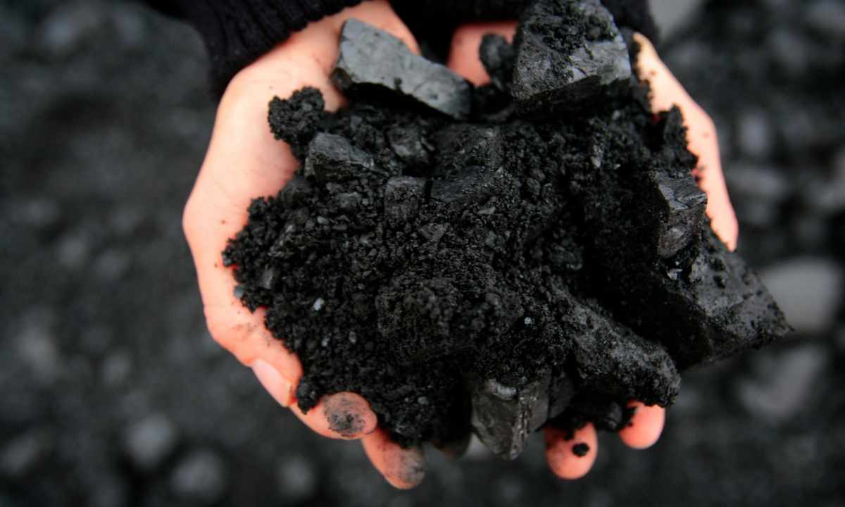 How to choose coal