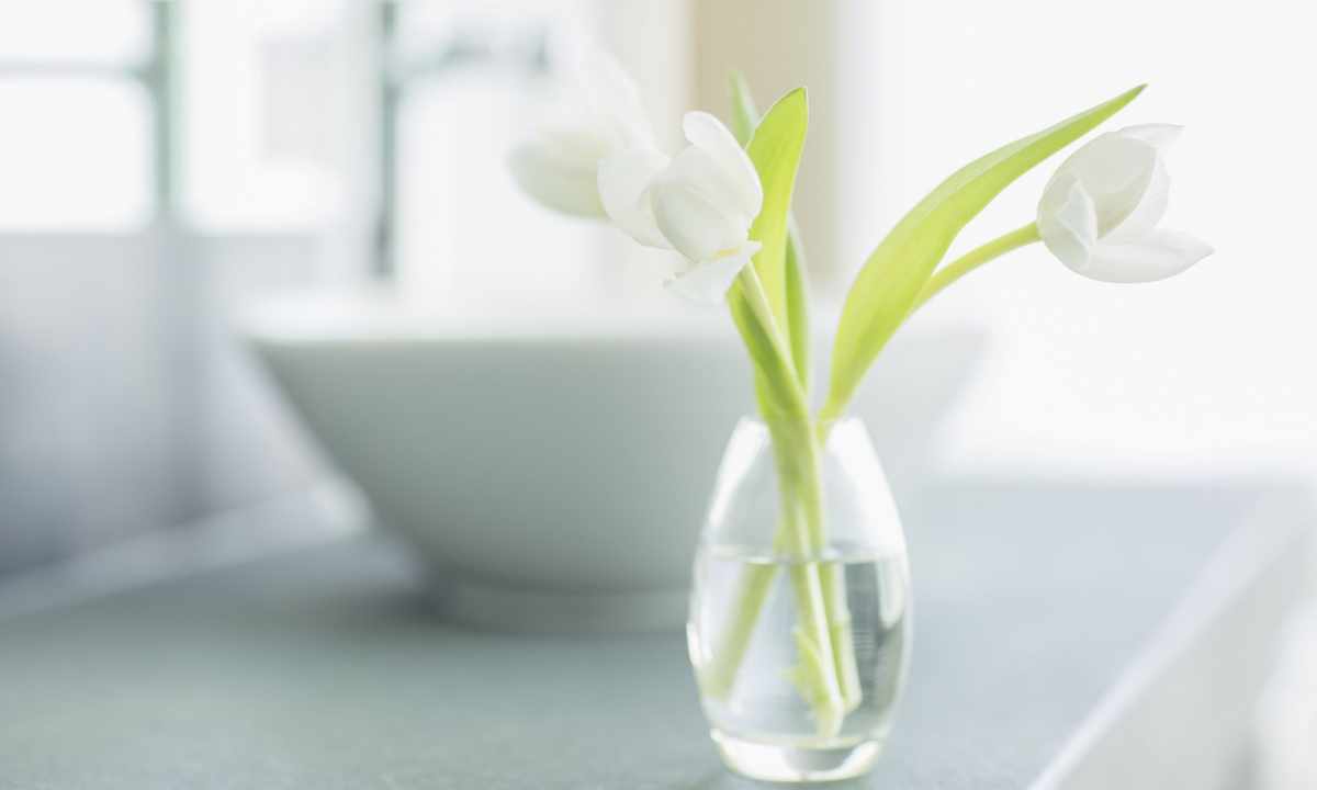 How longer to keep the cut-off lilies of the valley in vase