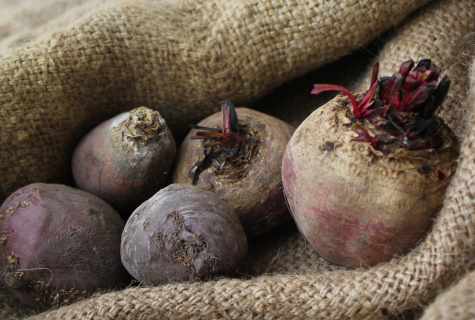How to keep beet for the winter