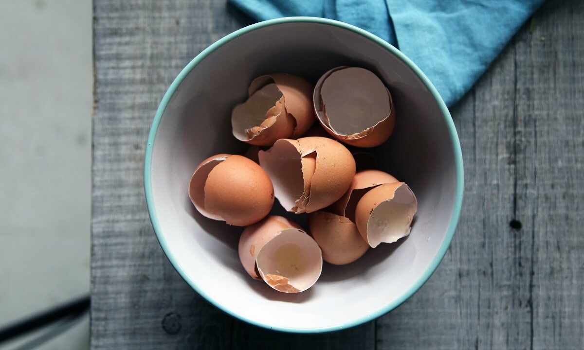 How to use egg shell