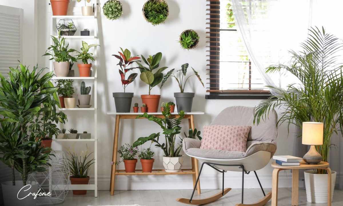 Ten useful houseplants