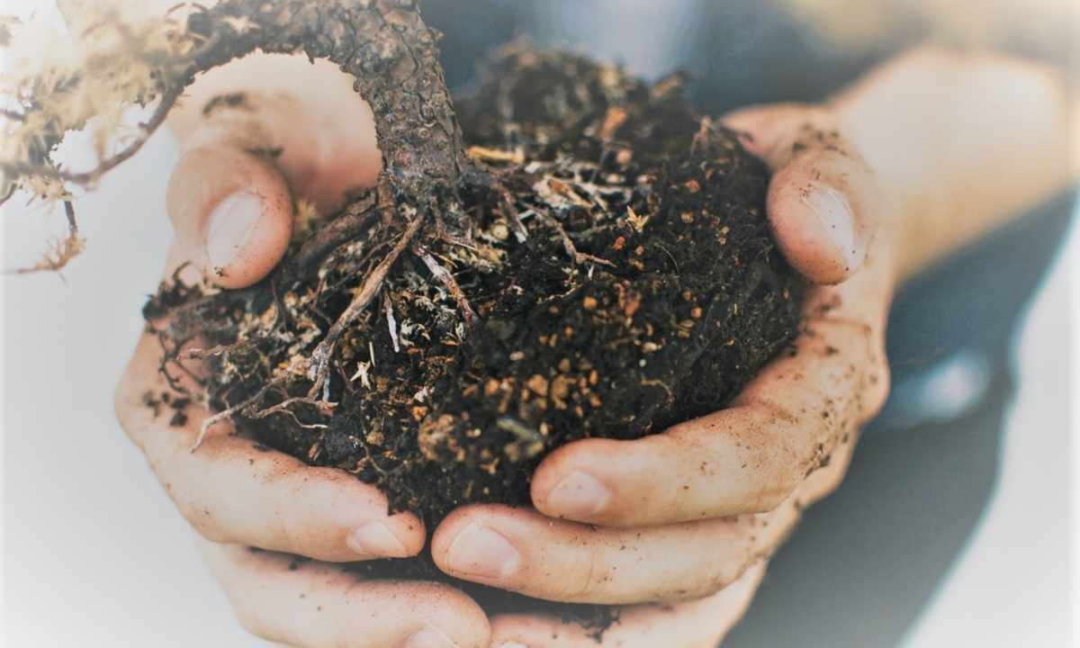 How to strengthen soil