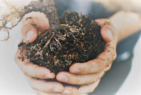 How to strengthen soil