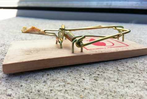 How to put the mousetrap
