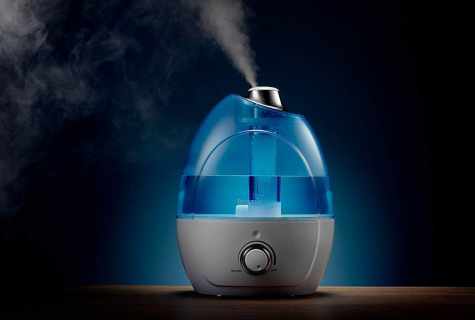 Humidifier for the house - we choose correctly