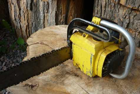 How to replace oil in the chainsaw
