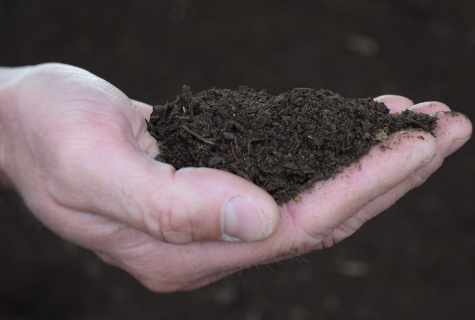 Why the pigeon dung is considered the best fertilizer