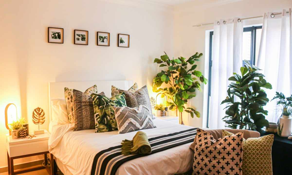 What window plants are suitable for the bedroom