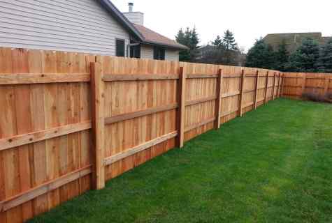 Fence construction from professional leaf