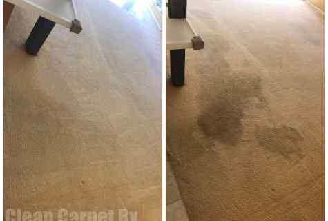 How to clean carpet from urine
