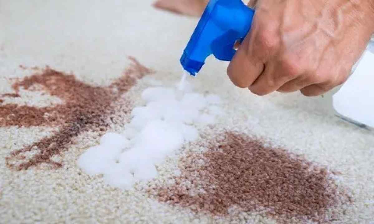 How to clean carpet from pollution