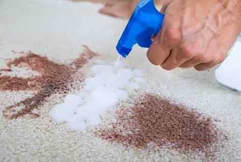 How to clean carpet from pollution