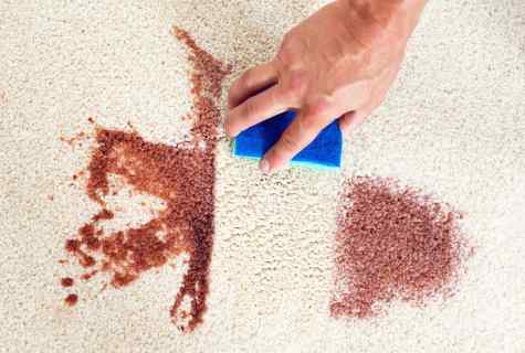 How to paint carpet