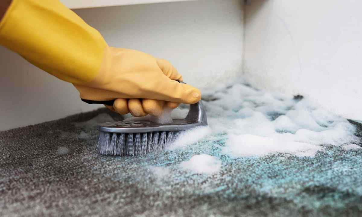 How to clean snow carpet