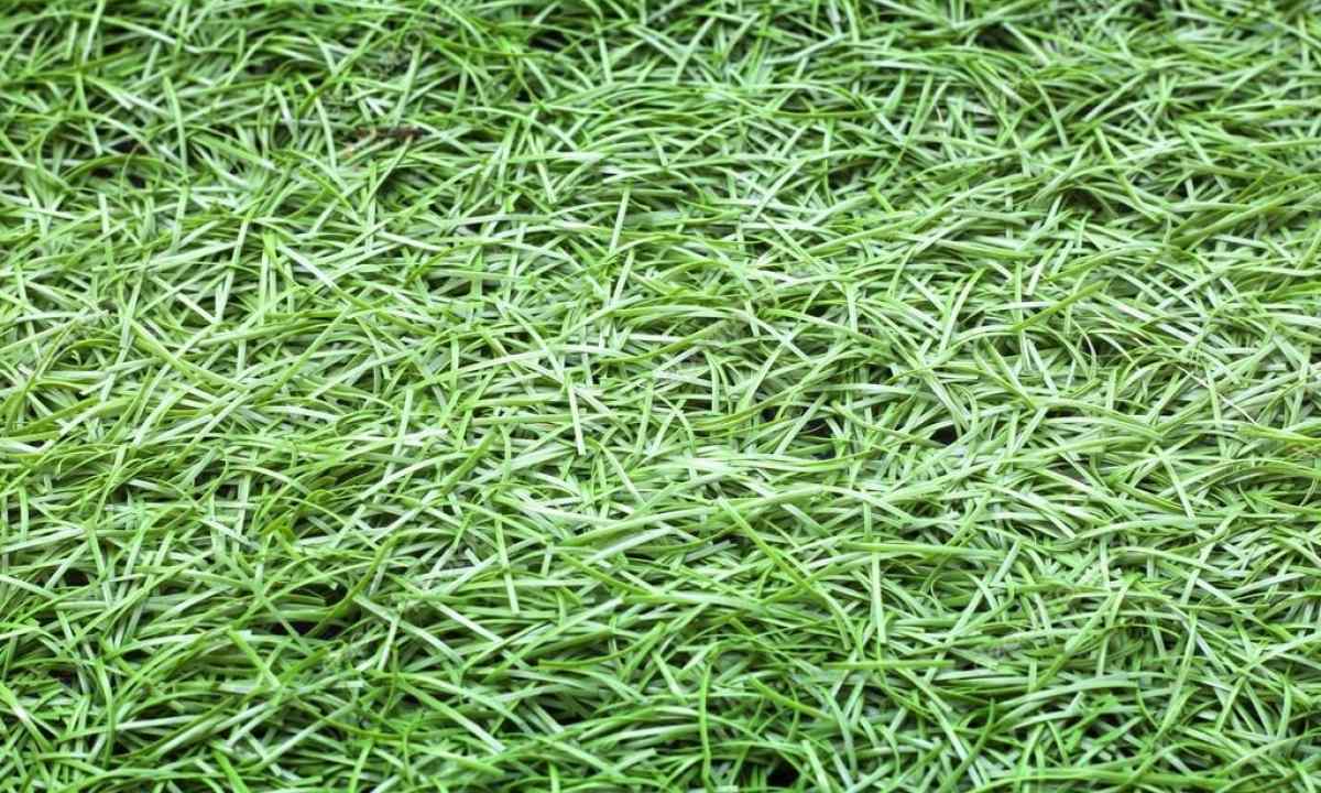 How to remove grass spots