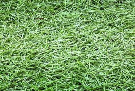 How to remove grass spots
