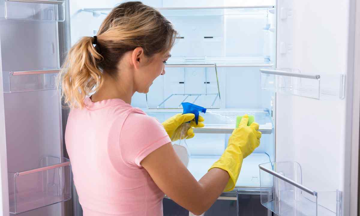 How to get rid of mold in the fridge
