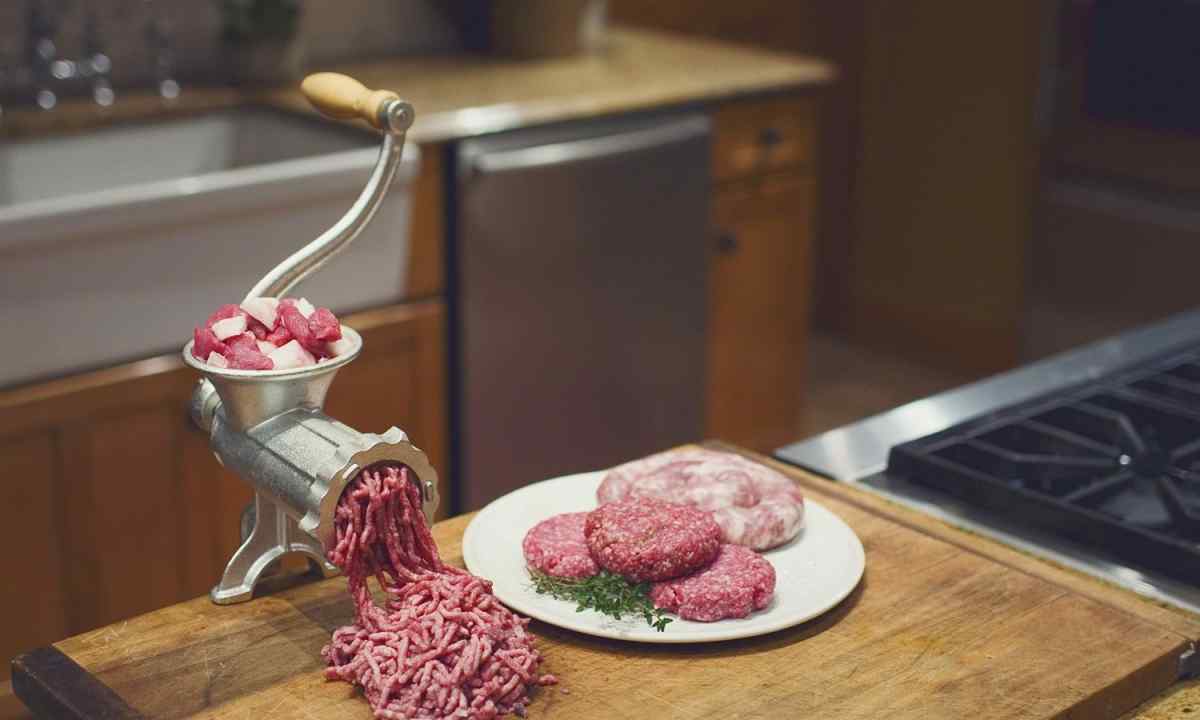 How to choose the good meat grinder