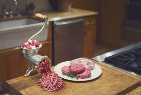 How to choose the good meat grinder