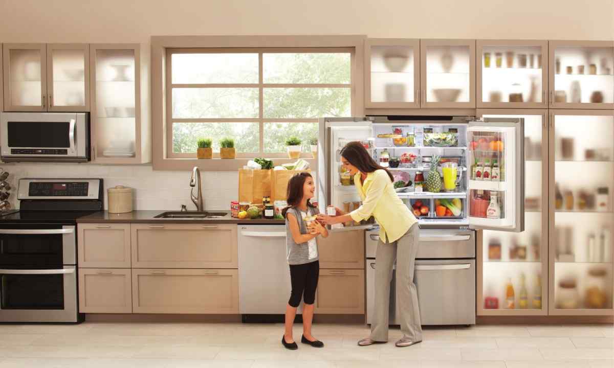 How to buy the fridge