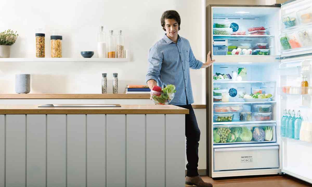 How to choose the fridge