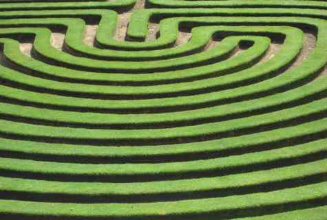 How to create garden labyrinth