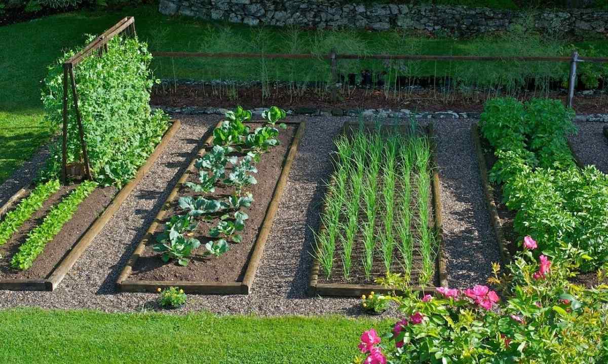 How to arrange well garden