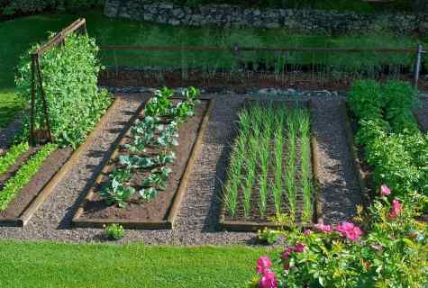 How to arrange well garden