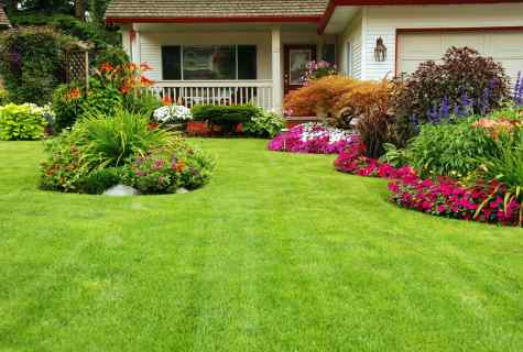 How to decorate lawn