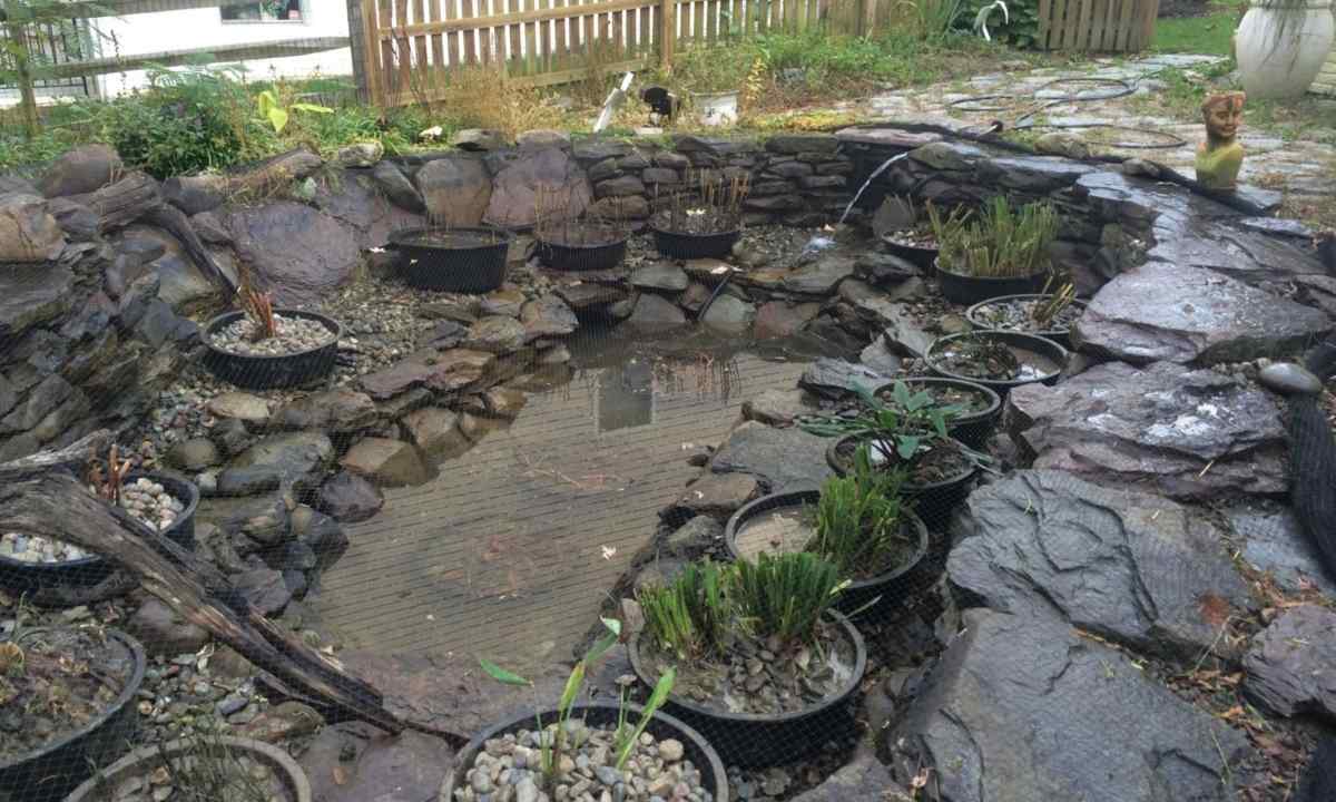 How to make pond at the dacha of the tire
