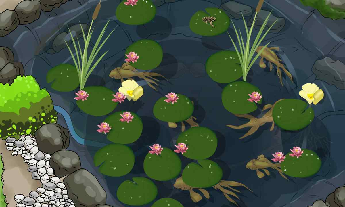 How to make pond for cultivation of fish