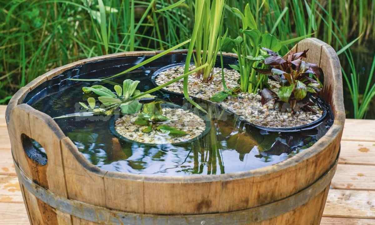 How to make pond at the dacha with own hands