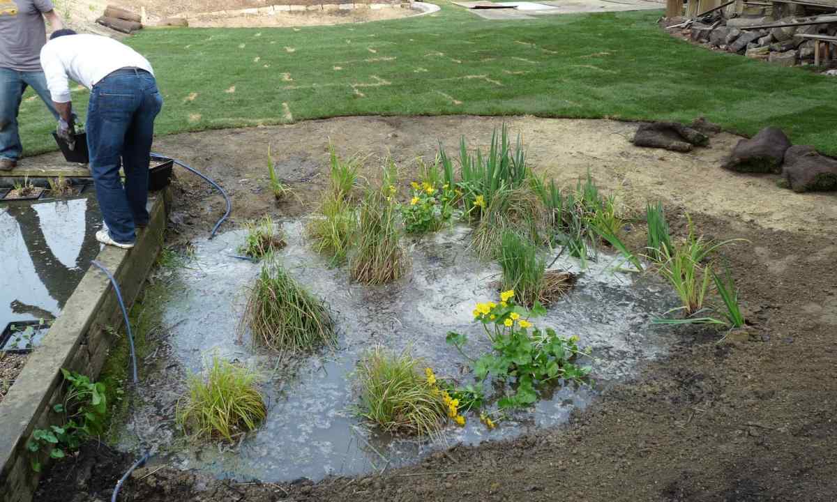 How to make pond in garden