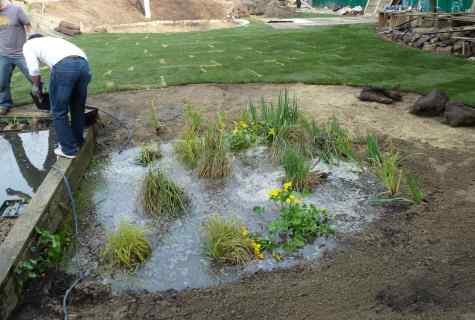 How to make pond in garden