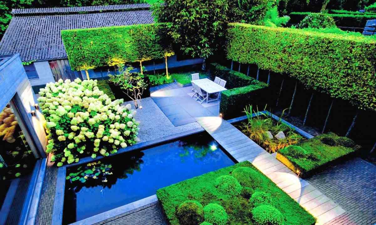 Top-5 the ideas for landscaping