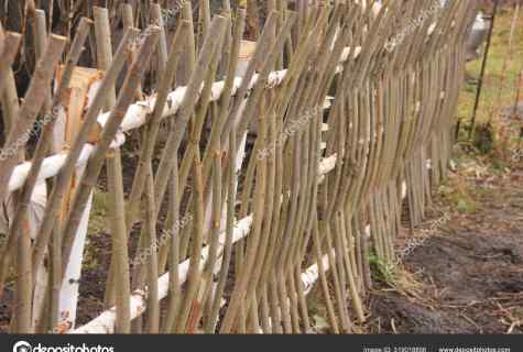 How to make wattled fence