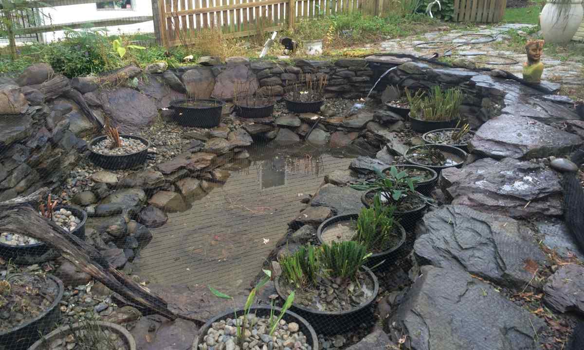 How to make pond on the site
