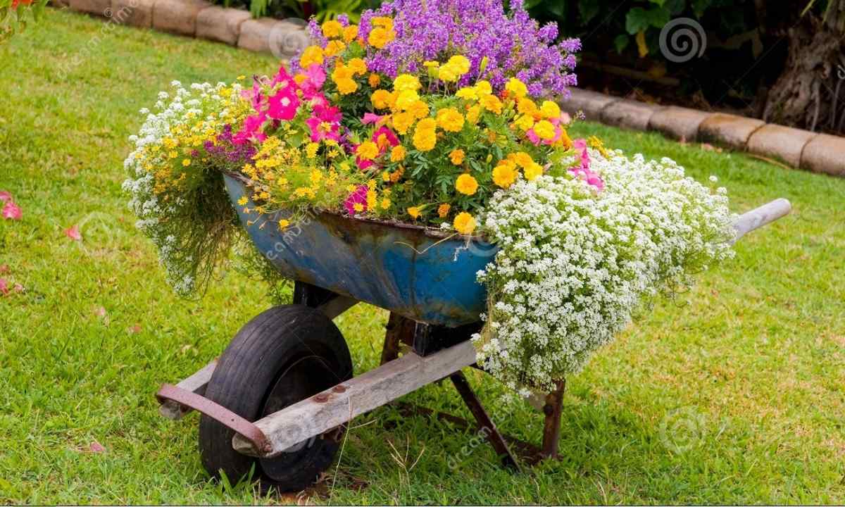 How to make beautiful flower bed