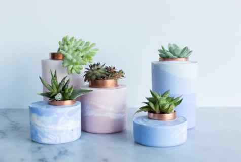 How to make street flowerpots for flowers with own hands