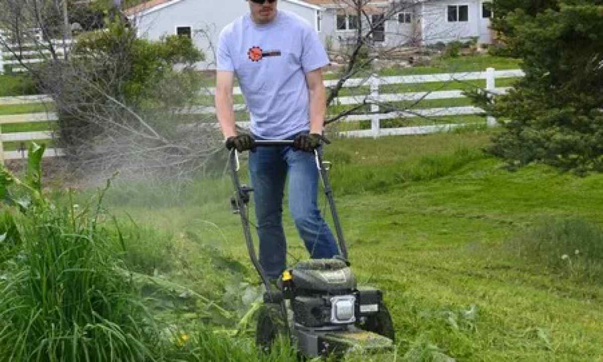 Strimmer, trimmer, lawn-mower: what to prefer