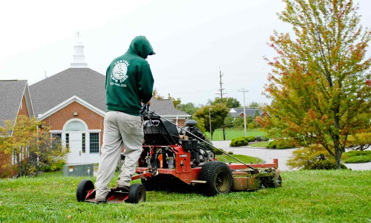 Whether it is necessary to mow lawn in the fall