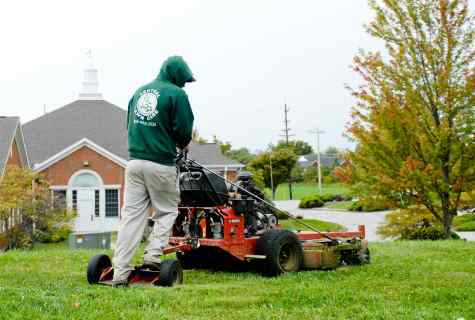 Whether it is necessary to mow lawn in the fall